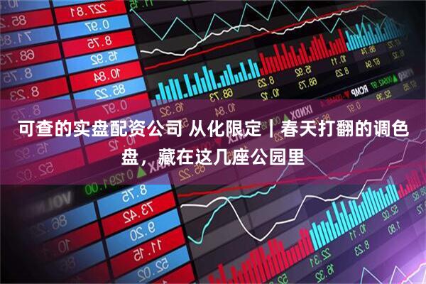 可查的实盘配资公司 从化限定｜春天打翻的调色盘，藏在这几座公园里